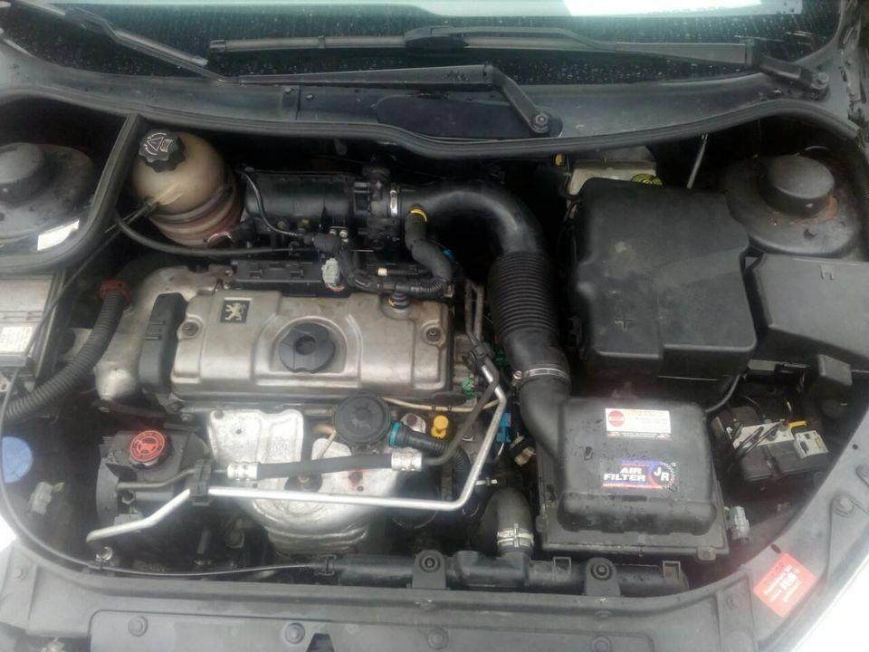 Peugeot-206-sw