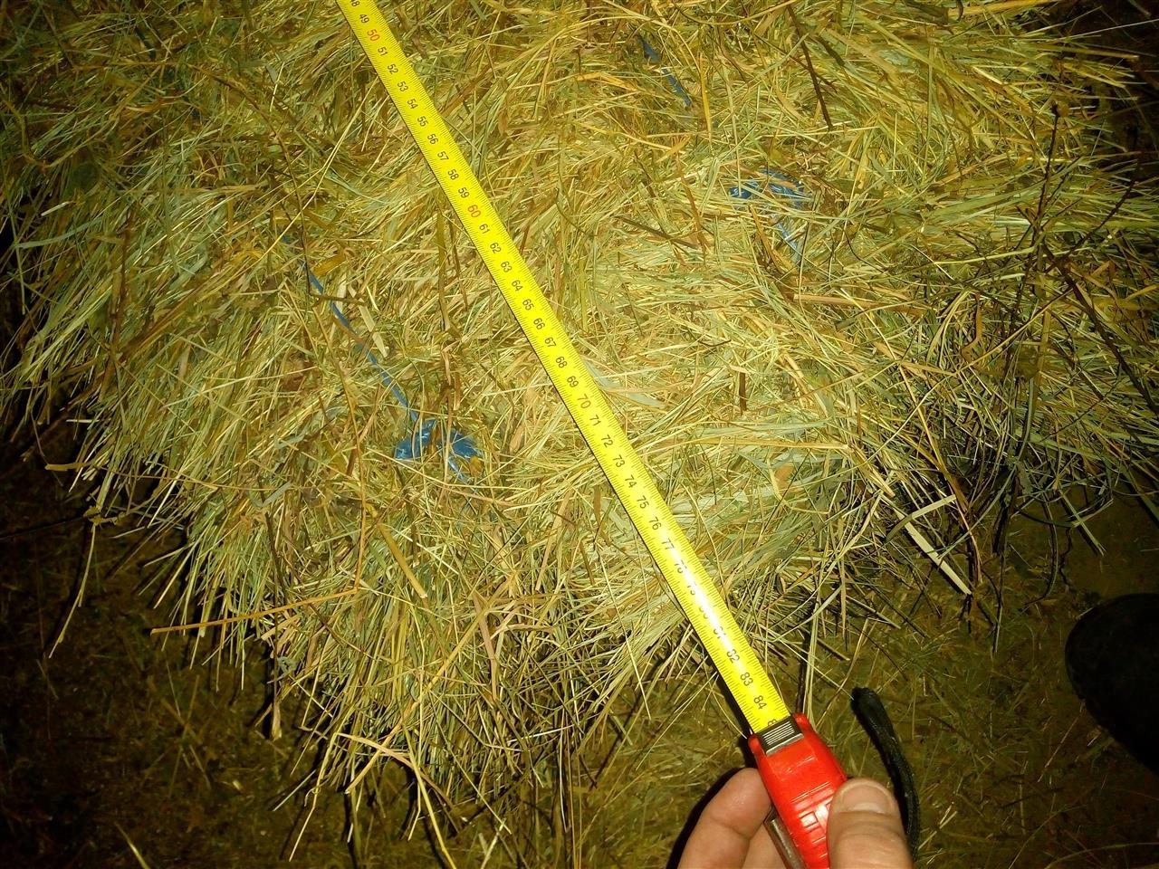 Bale-seno-i-detelina