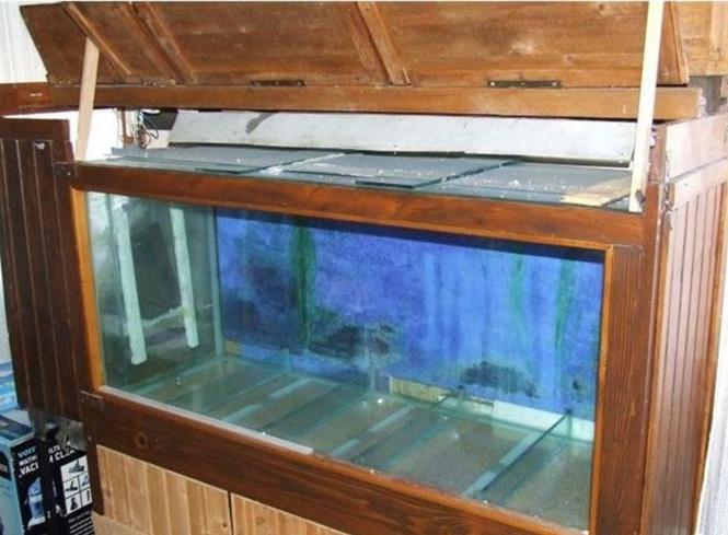 Akvarijum