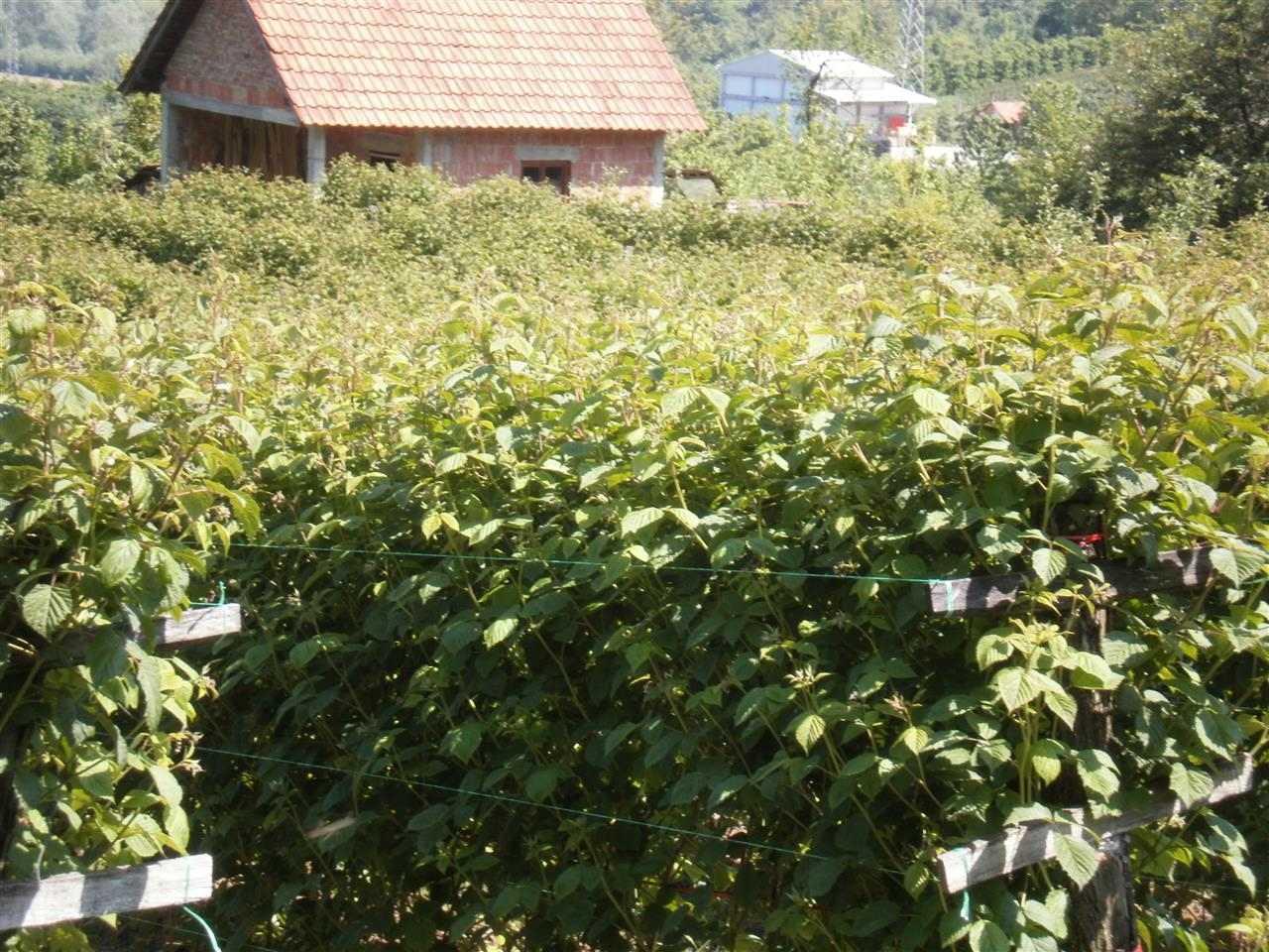 POTREBNI-RADNICI