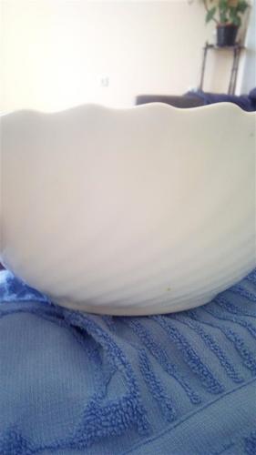 Conija