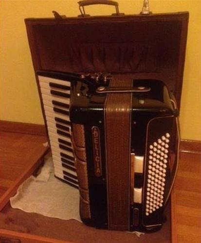 Odlična Delicia harmonika 80 basova