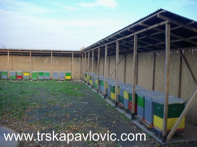 Proizvodi-od-trske