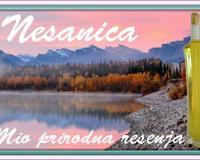 Nesanica