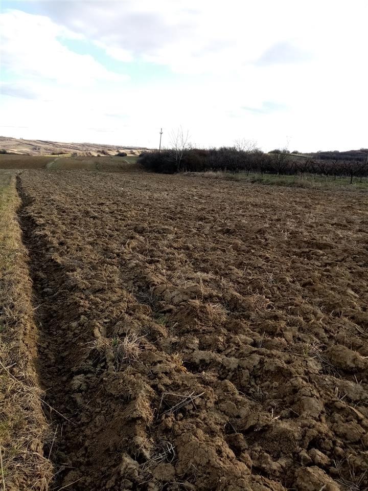 Placevi-preko-puta-Lesca