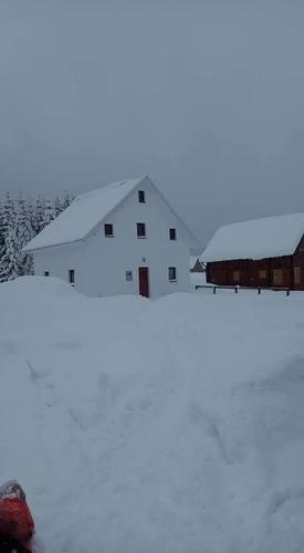 Izdaje se apartman na Goliji