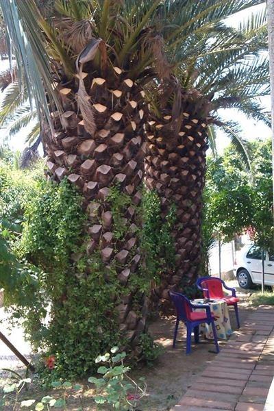 Sobe-za-odmor-u-Sutomore