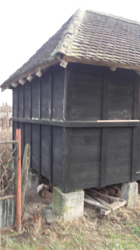 AMBAR 