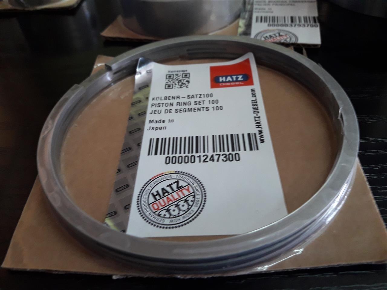 -HATZ--ES786-1B81S