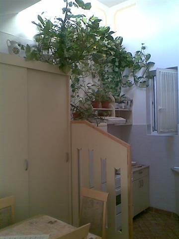 Stan-36m2-u-Novi-Sad--Centar