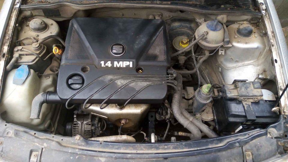 Ibica