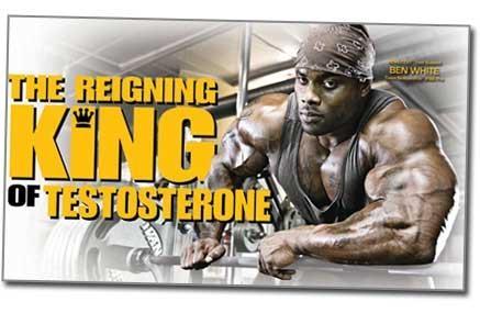 TESTOSTERON BUSTER