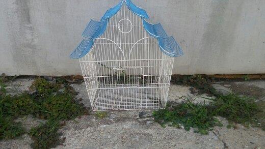 Kavez za ptice
