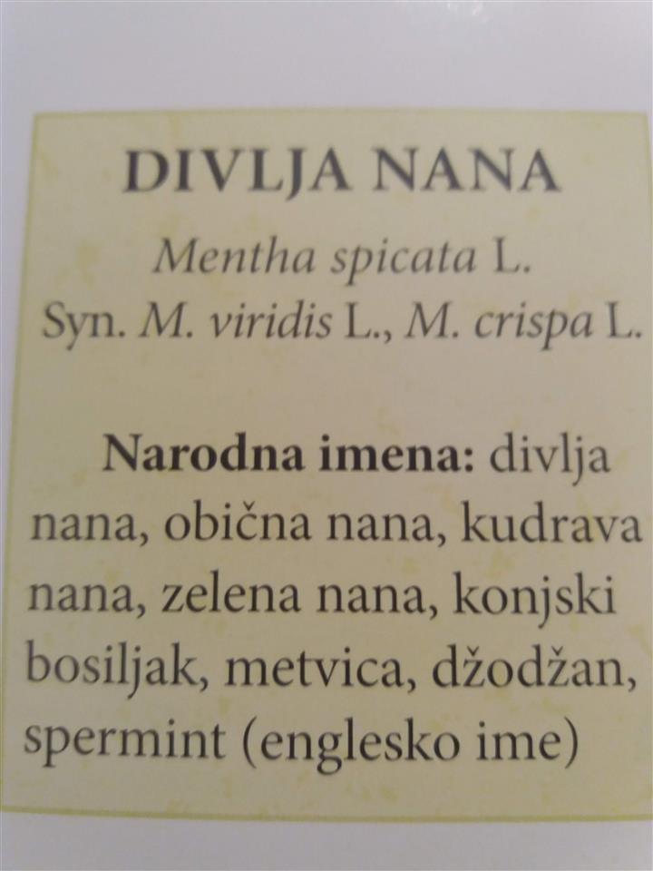 Divlja-nana-sadnice