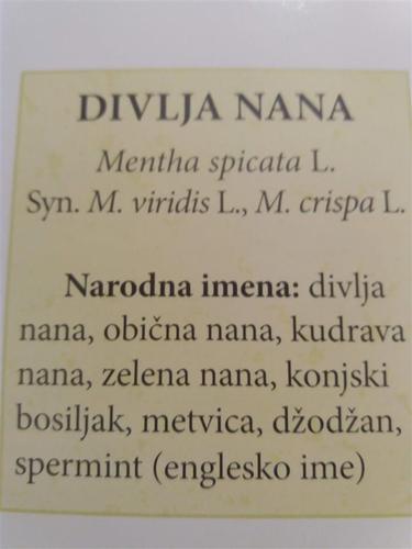 Divlja nana sadnice