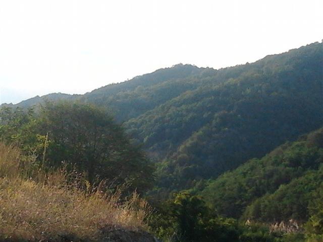 plac na Staroj planini