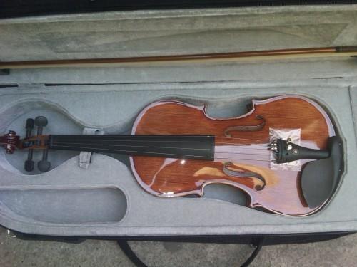 Violina Studentska