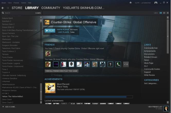 Steam profil