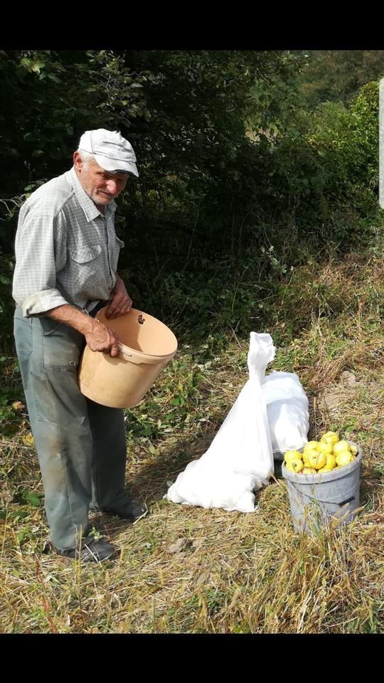 DOMAĆA-RAKIJA-OD-DUNJE