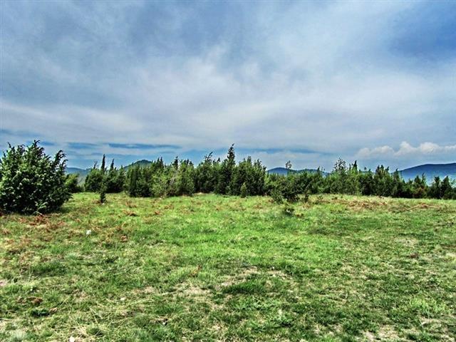 Plac 50000m2 u Kosjeric, sa izvorima vode
