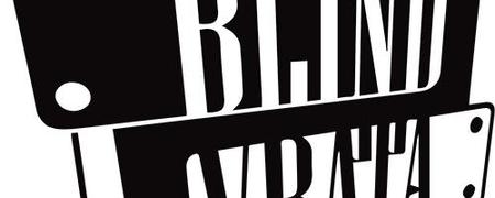 BLIND VRATA PVC DOO