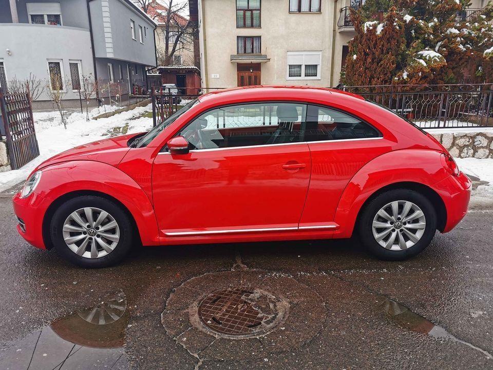 VW-Beetle