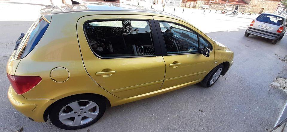 Pezo307