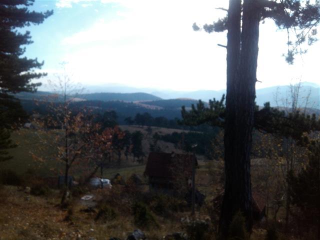 Plac 5000m2 u Zlatibor-Tornik