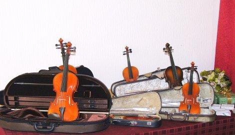 Profesorka violine
