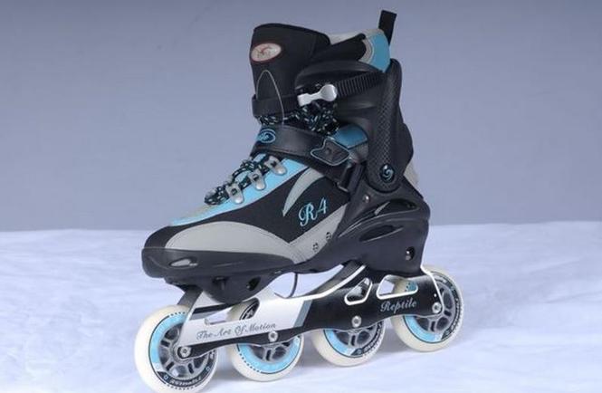 Reptil Raptor R 2010