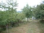 Topola---gradj--plac-20-ari