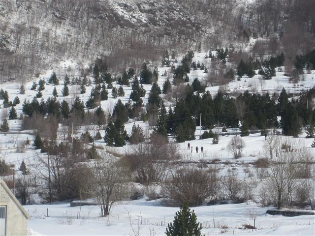Plac 6358m2 