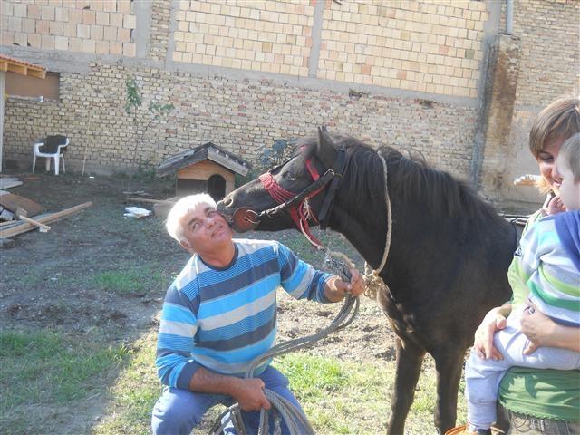 Konj