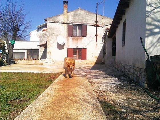 KUĆA-ISTRA