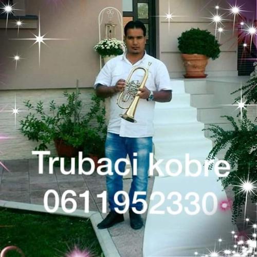 Trubaci nis 0611952330