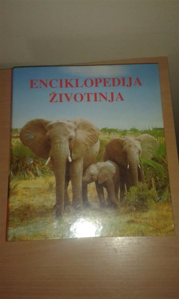 Enciklopedija