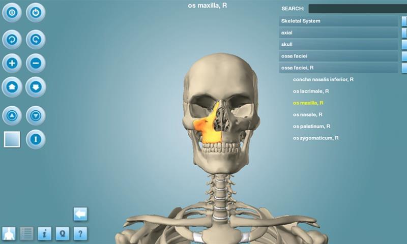 Anatomija--program-za-anatomiju