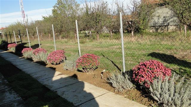 Kuca-od-60m2-u-Klenku-kraj-Sapca
