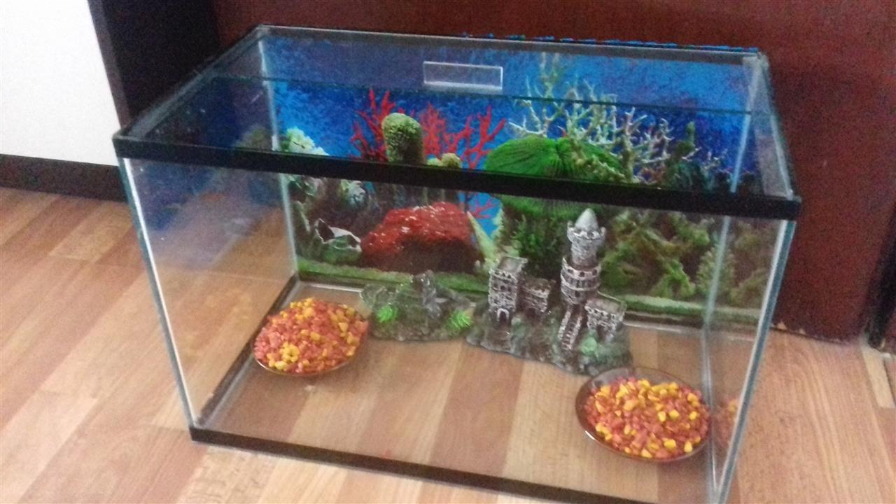 Akvarijum