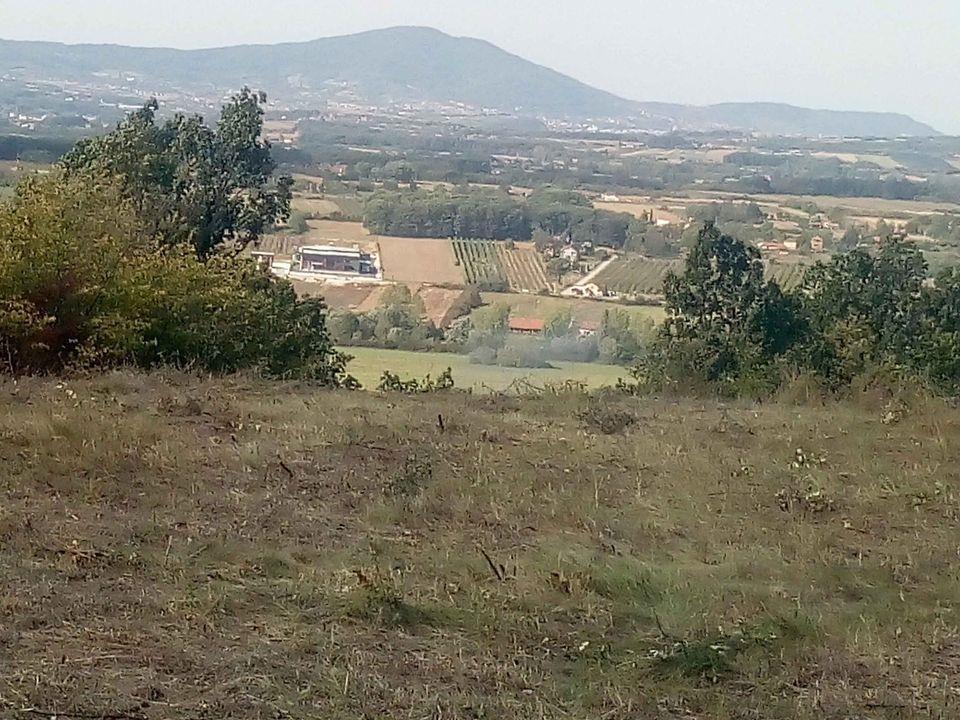 Njiva-i-plac