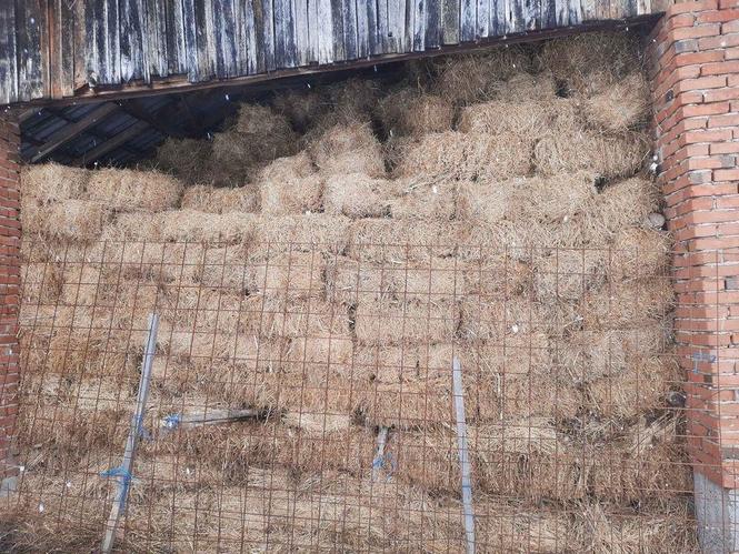 Bale lucerke 0643059430