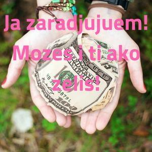 ZARADI IZ SVOG DOME