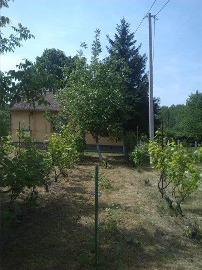 PRODAJEM-KUCU-I-16-ARI-PLACA-CENA-DOGOVOR