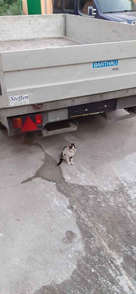 Auto-prikoica