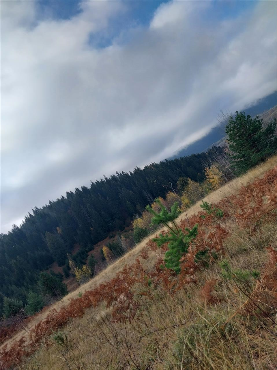 ZLATAR-PLANINA