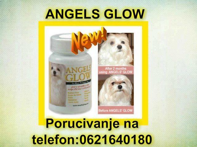 ANGELS GLOW - za pse i macke
