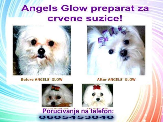 ANGELS-GLOW---za-pse-i-macke