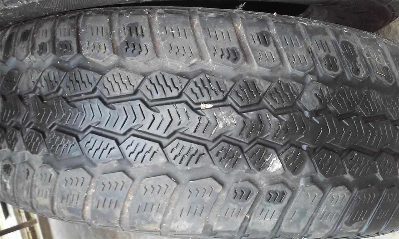 Auto-gume