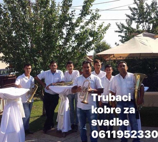 Trubaci smederevska palanka 0611952330