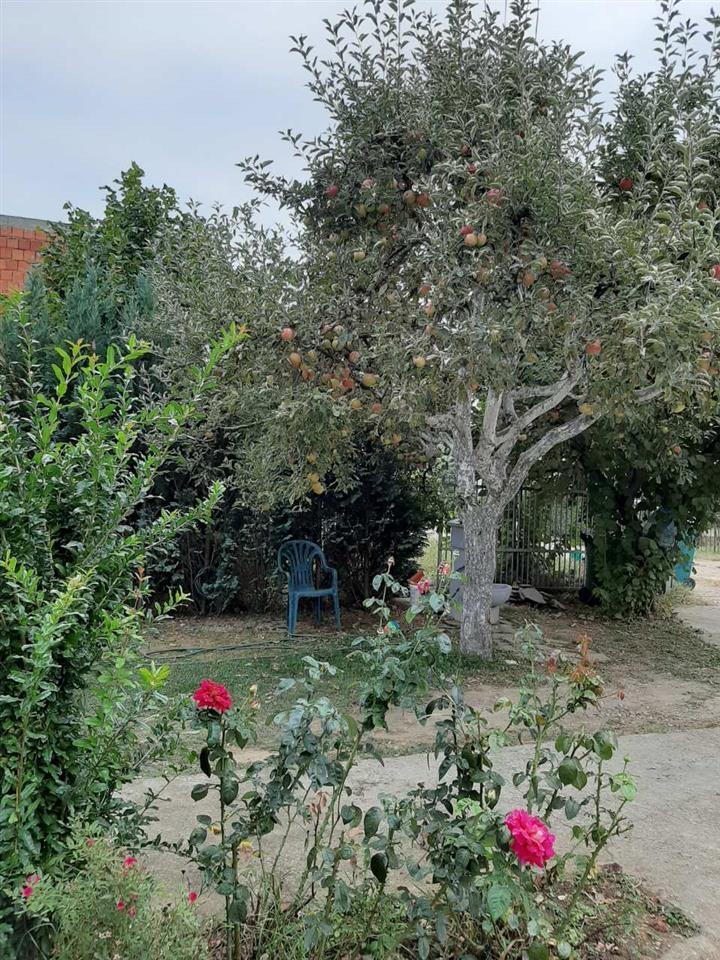 Kuća-